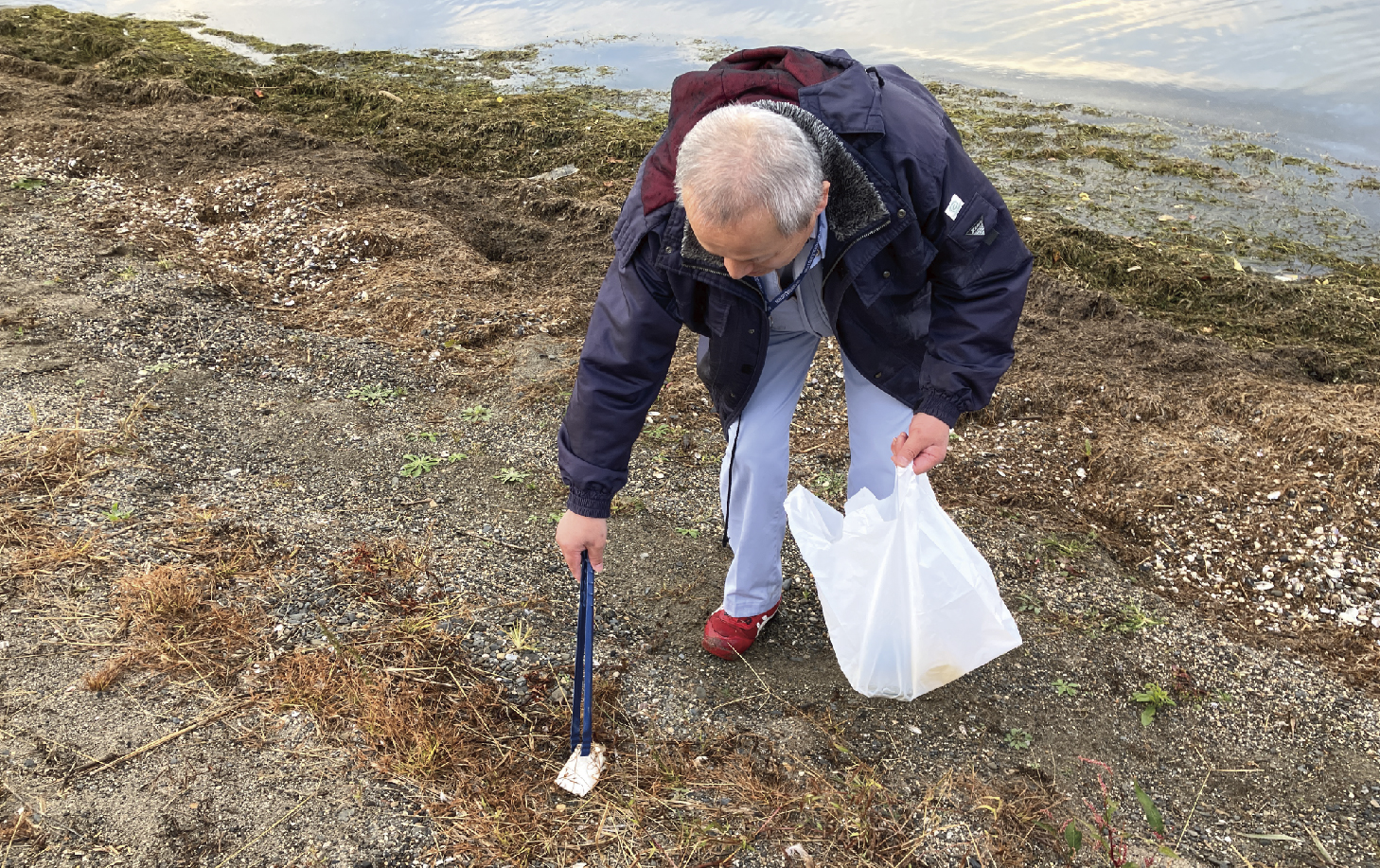 淡海エコフォスター制度<br> 【秋の清掃活動】